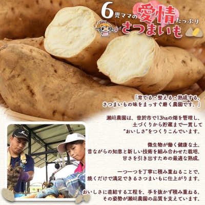 【先行受付】黄金千貫(10kg)