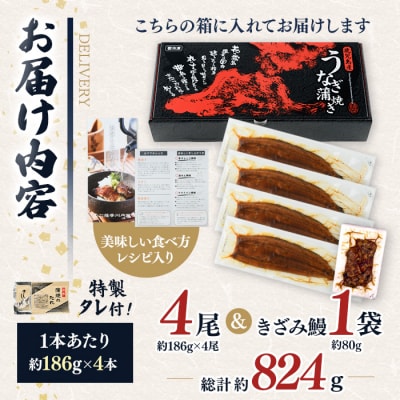 鹿児島県産うなぎ蒲焼(計約824g・186g×4尾&きざみ鰻80g)