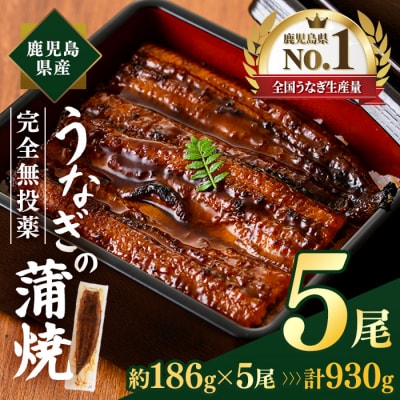 鹿児島県産うなぎ蒲焼(約186g×5尾)