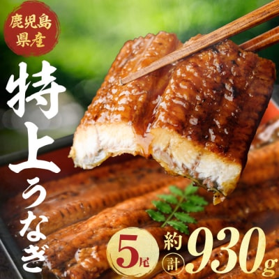 鹿児島県産うなぎ蒲焼(約186g×5尾)