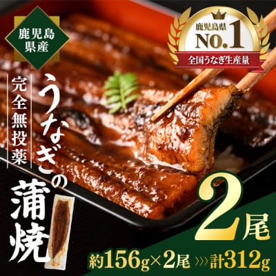 鹿児島県産うなぎ蒲焼(約156g×2尾)