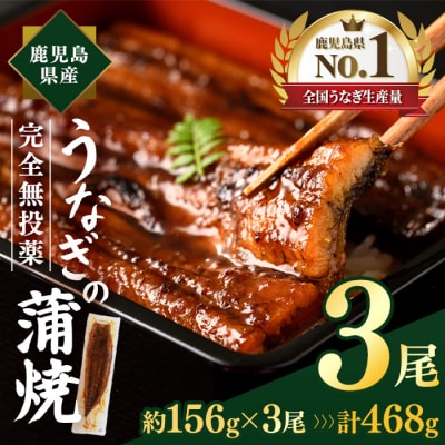 鹿児島県産うなぎ蒲焼(約156g×3尾)