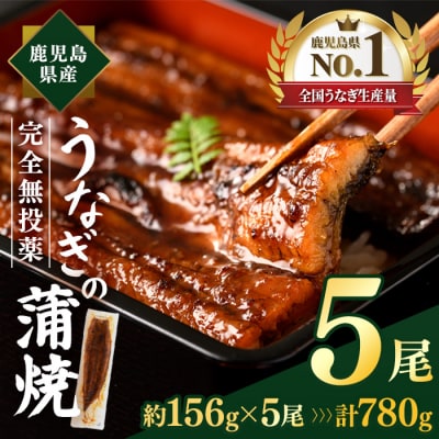 鹿児島県産うなぎ蒲焼(約156g×5尾)