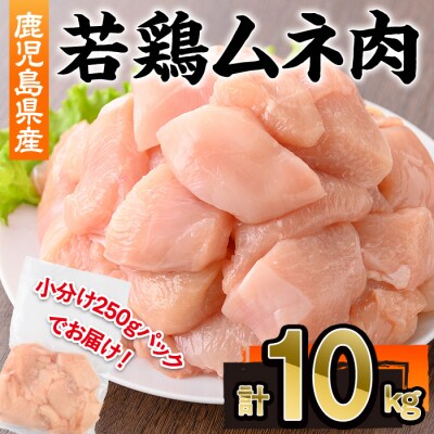  鹿児島県産若鶏ムネ肉切身(250g×40P)