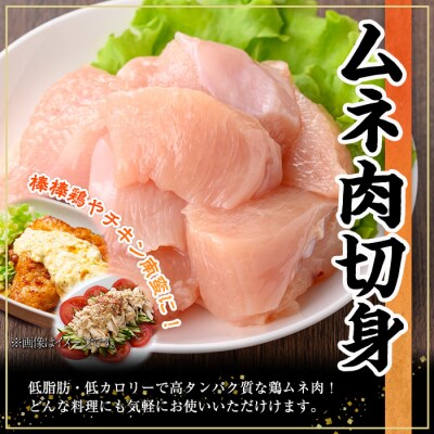  鹿児島県産若鶏ムネ肉切身(250g×40P)