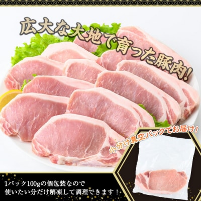 鹿児島県産豚肉ロースとんかつ(100g×10P)