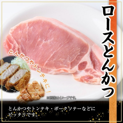 鹿児島県産豚肉ロースとんかつ(100g×10P)