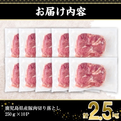 鹿児島県産豚肉切落し(250g×10P)