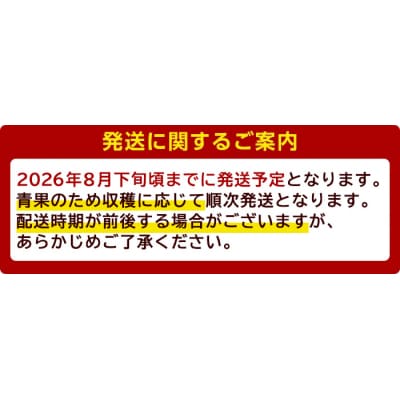 【2026年8月下旬頃までに発送予定】完熟アップルマンゴー「紅」(約900g)