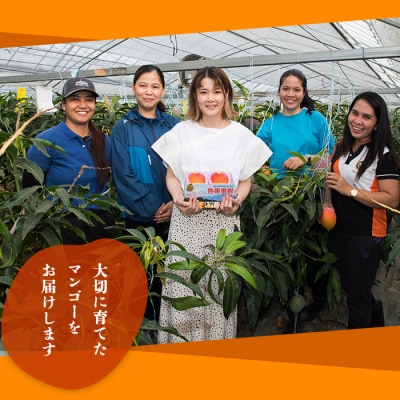 【2026年6月下旬～7月下旬頃に発送予定】完熟アップルマンゴー「紅」(約1kg)