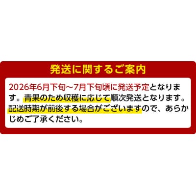 【2026年6月下旬～7月下旬頃に発送予定】完熟アップルマンゴー「紅」(約1kg)