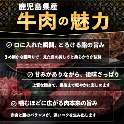 鹿児島県産牛タレ漬け(計400g)