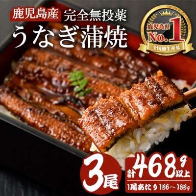 鹿児島産うなぎ蒲焼(無頭)156～185g×3尾(たれ+山椒付)
