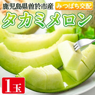 タカミメロン(1個入・1.6kg～) 