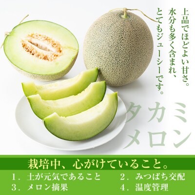 タカミメロン(1個入・1.6kg～) 