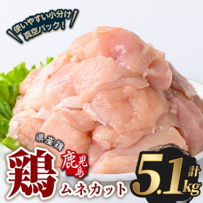 鹿児島県産若鶏ムネカット(計5.1kg・300g×17P) 