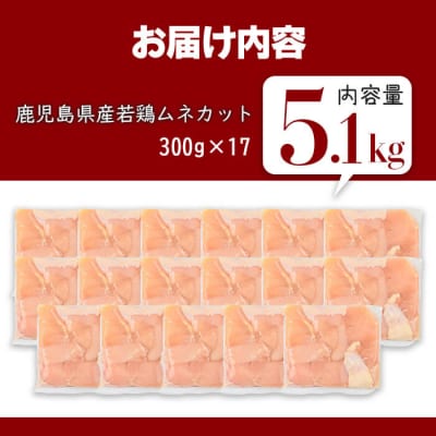 鹿児島県産若鶏ムネカット(計5.1kg・300g×17P) 
