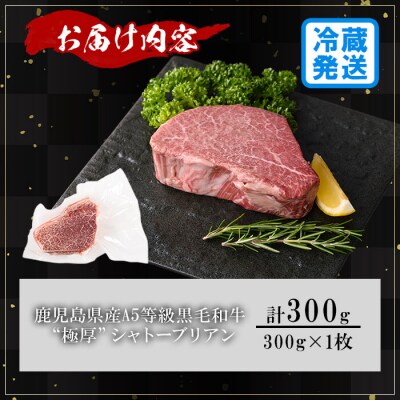 鹿児島県産A5黒毛和牛”極厚”シャトーブリアン300g