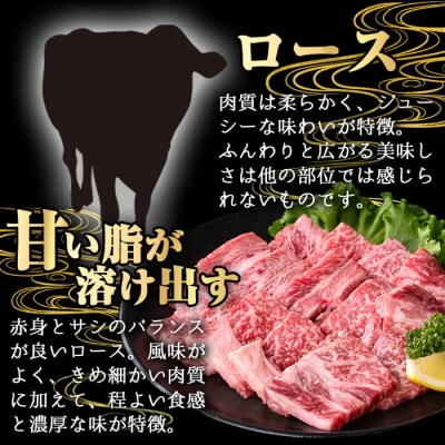 鹿児島県産A5等級黒毛和牛霜降りロース焼肉250g