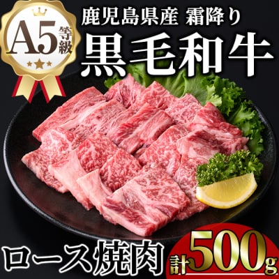 鹿児島県産A5等級黒毛和牛霜降りロース焼肉500g