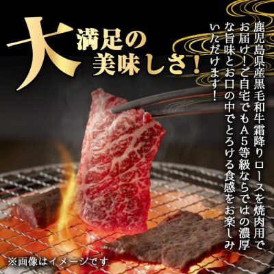 鹿児島県産A5等級黒毛和牛霜降りロース焼肉500g