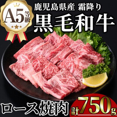 鹿児島県産A5等級黒毛和牛霜降りロース焼肉750g