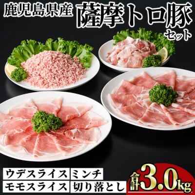 鹿児島県産薩摩トロ豚モリモリおためしパック【合計3kg】