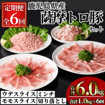 【6回定期】薩摩トロ豚モリモリお試しパック1kg×6回(合計6kg)