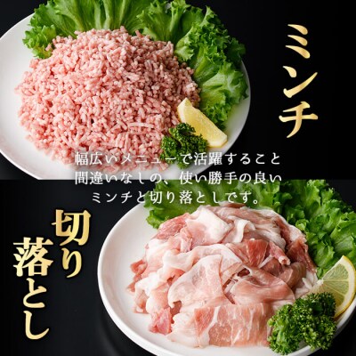 【12回定期】薩摩トロ豚モリモリお試しパック1kg×12回(合計12kg)