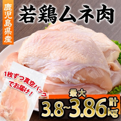 鹿児島県産若鶏ムネ肉不定貫　計3.8～3.86kg