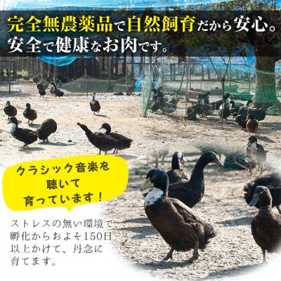 薩摩黒鴨鍋セット&薩摩黒鴨おつまみセット!