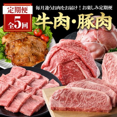 【5回定期】毎月違うお肉をお届け!お楽しみ定期便 (合計2.66kg以上)