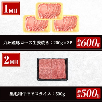 【5回定期】毎月違うお肉をお届け!お楽しみ定期便 (合計2.66kg以上)