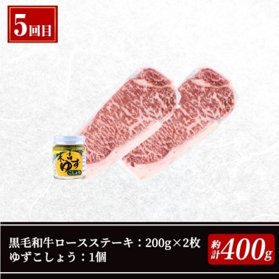 【5回定期】毎月違うお肉をお届け!お楽しみ定期便 (合計2.66kg以上)