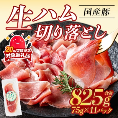 【2026年10月中に発送予定】生ハム切り落とし75g×11P(計825g)