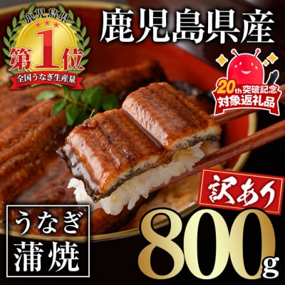 【訳あり】無投薬!鹿児島県産うなぎ蒲焼セット(計800g・尾数不定)