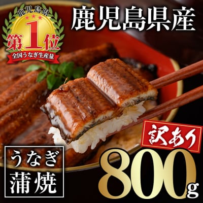 【訳あり】無投薬!鹿児島県産うなぎ蒲焼セット(計800g・尾数不定)