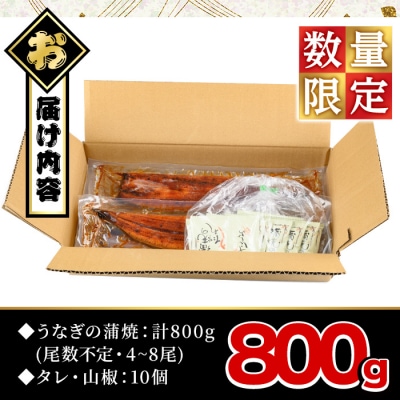 【訳あり】無投薬!鹿児島県産うなぎ蒲焼セット(計800g・尾数不定)