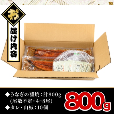 【訳あり】無投薬!鹿児島県産うなぎ蒲焼セット(計800g・尾数不定)