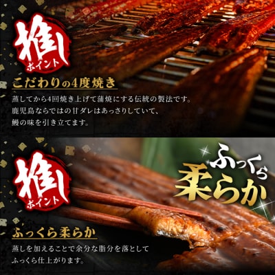 【訳あり】無投薬!鹿児島県産うなぎ蒲焼セット(計800g・尾数不定)