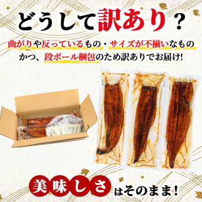 【訳あり】無投薬!鹿児島県産うなぎ蒲焼セット(計800g・尾数不定)