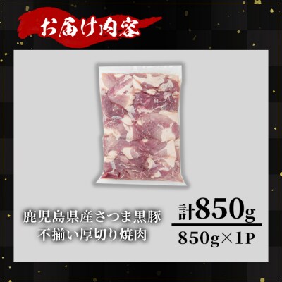 【訳あり】鹿児島県産さつま黒豚不揃い焼肉　計850g