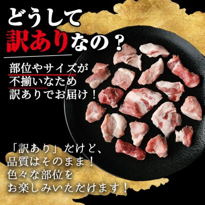 【訳あり】鹿児島県産さつま黒豚不揃い焼肉　計850g