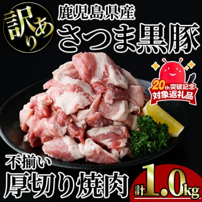 【訳あり】鹿児島県産さつま黒豚不揃い焼肉　計1kg