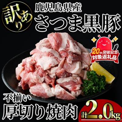 【訳あり】鹿児島県産さつま黒豚不揃い焼肉　計2kg