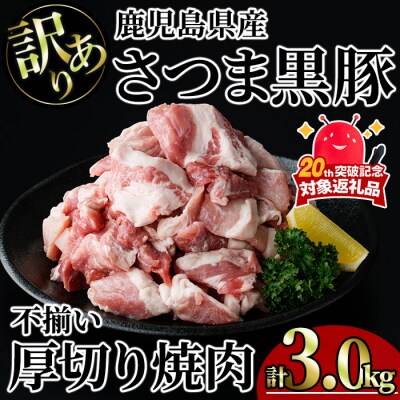 【訳あり】鹿児島県産さつま黒豚不揃い焼肉　計3kg