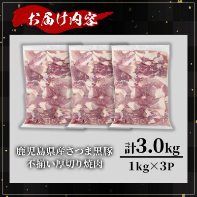 【訳あり】鹿児島県産さつま黒豚不揃い焼肉　計3kg