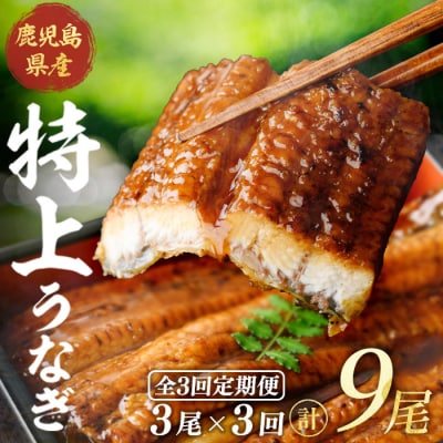 【3回定期】鹿児島県産うなぎ蒲焼(約186g×3尾)