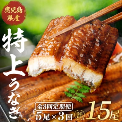【3回定期】鹿児島県産うなぎ蒲焼(約186g×5尾)