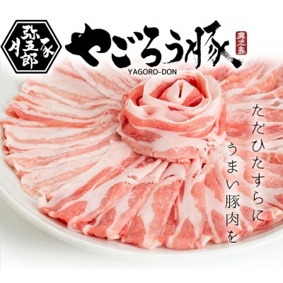 鹿児島県産やごろう黒豚味わいしゃぶしゃぶづくしセット 計1.5kg